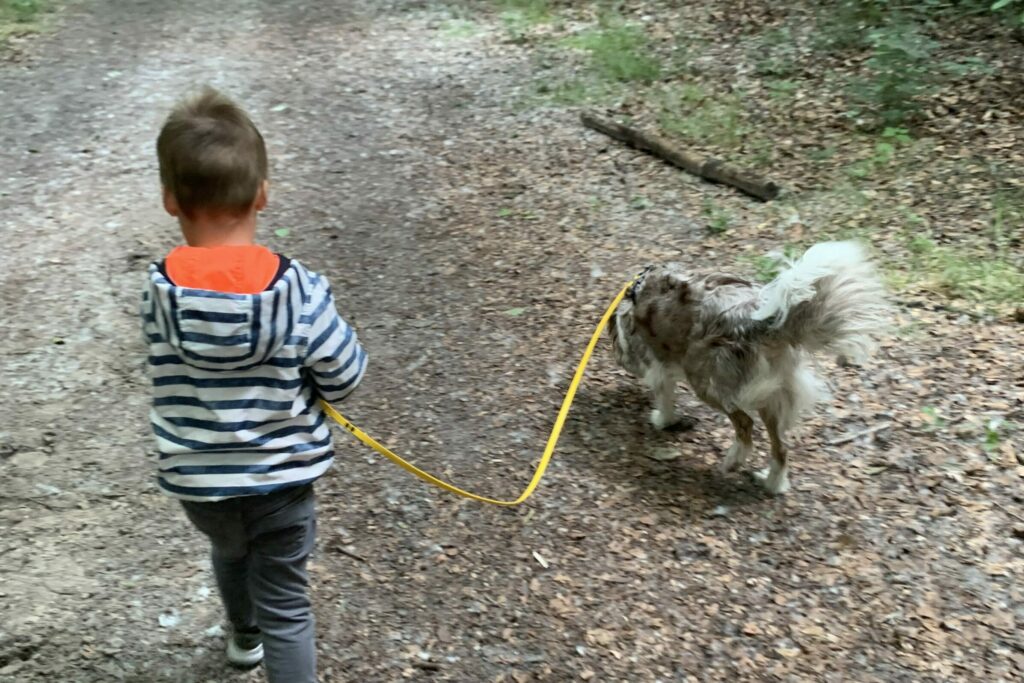 coaching hond kind co-coach